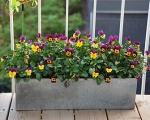 Балконные ящики для цветов-7-3