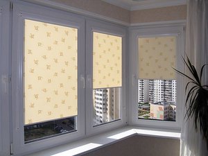 Кассетные шторы